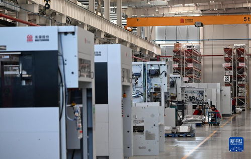 高端技术服务与销售 开拓海外市场的战略路径